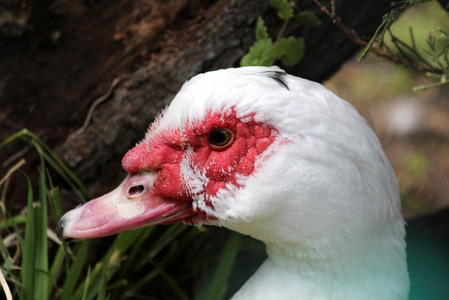 变得复杂 变得复杂