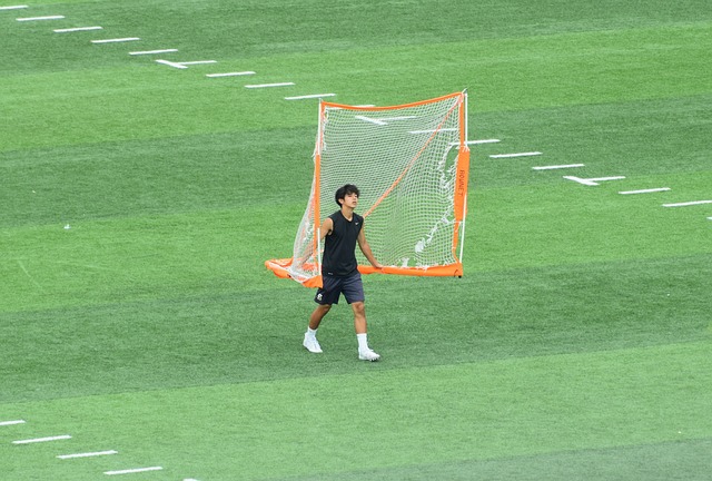这无疑是一