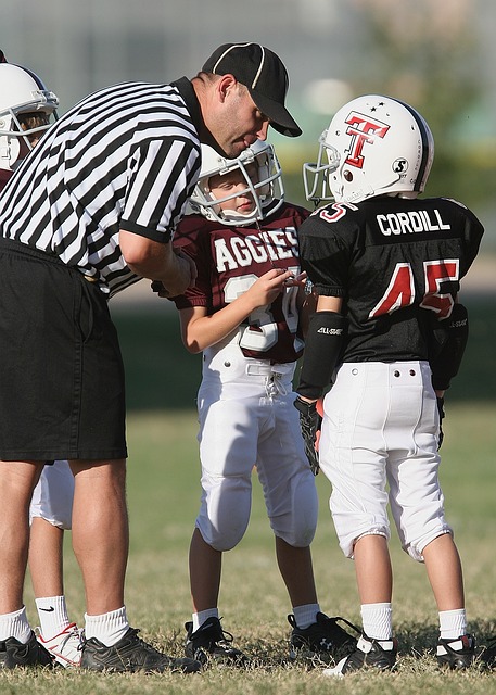 赋和勤奋的 赋和勤奋的