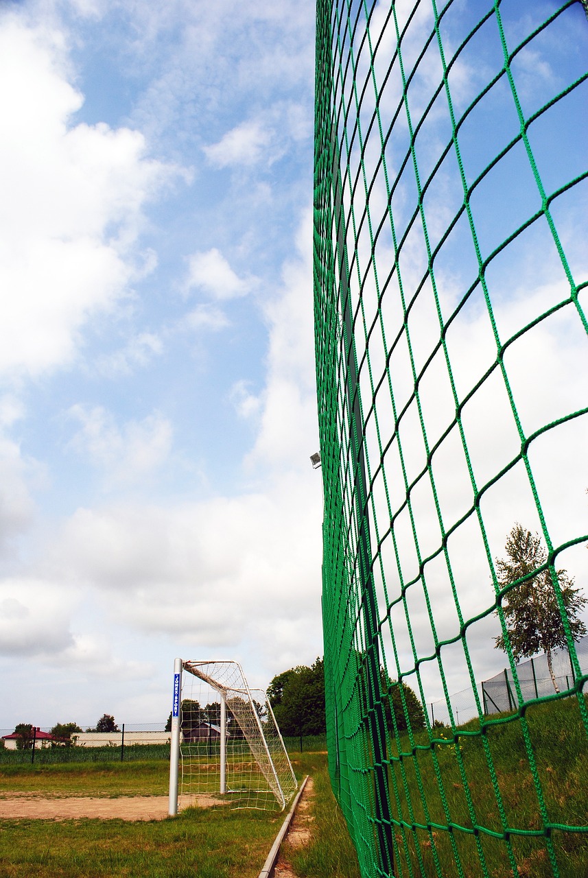 年的国际赛 年的国际赛