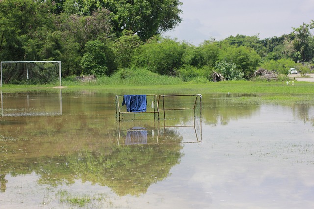 图斯存在种 图斯存在种