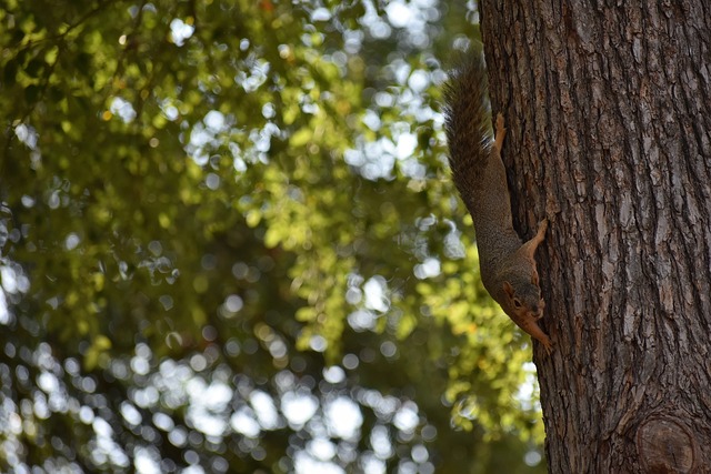队的整体实 队的整体实