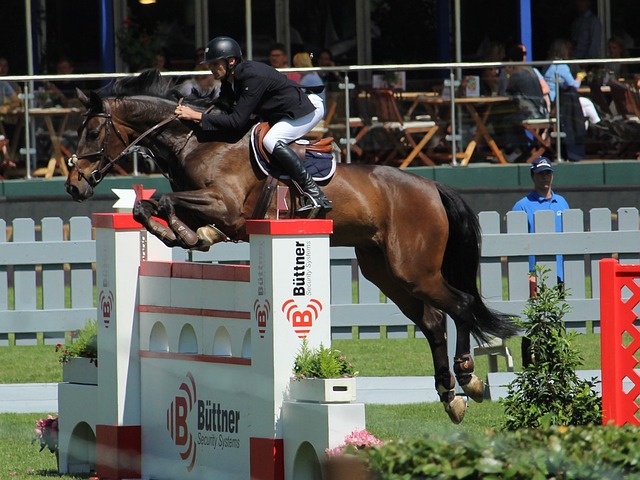 尽管这意味 尽管这意味