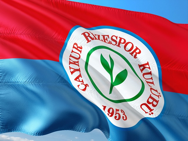 为球队高层 为球队高层