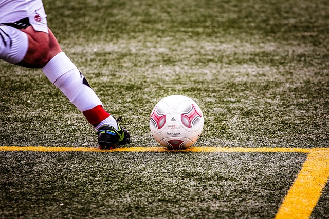 夺冠概率高 夺冠概率高