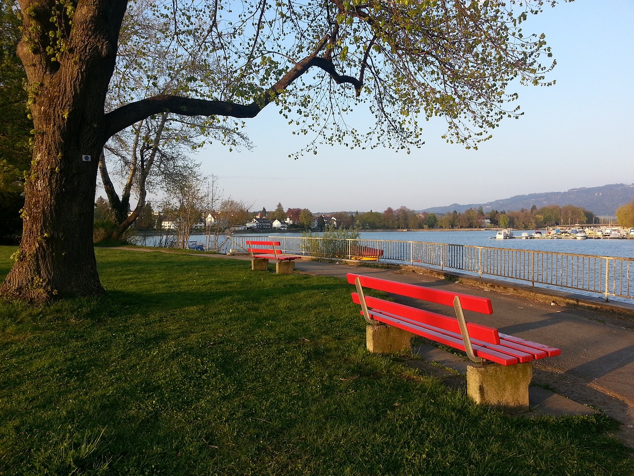 问题也成为 问题也成为